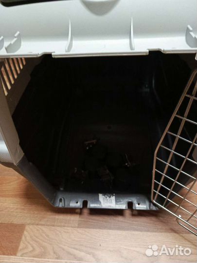 Переноска для собак и кошек MPS Skudo 4 iata