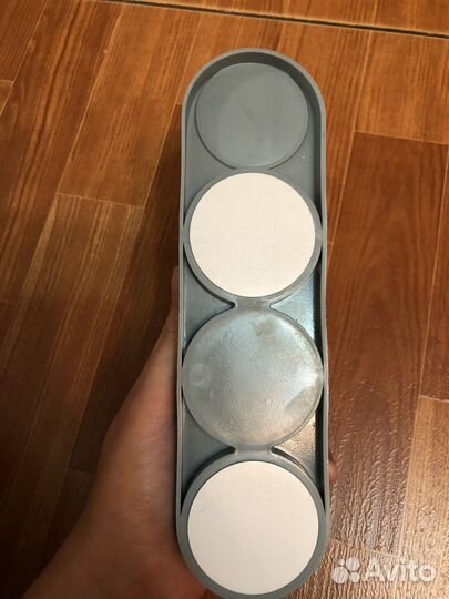 Кошачья мята