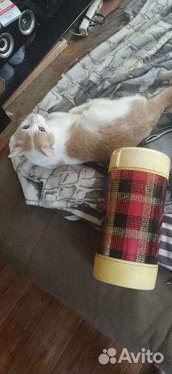 Термос СССР 2л