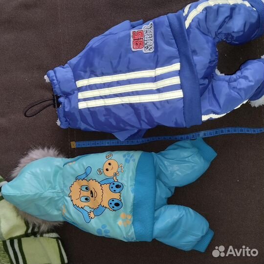 Зимний комбинезон для чихуахуа