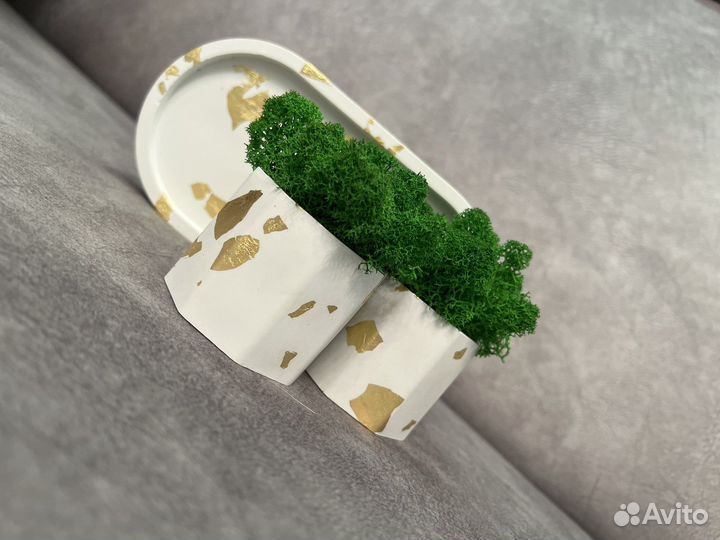 Набор кашпо со стабилизированным зеленым мхом