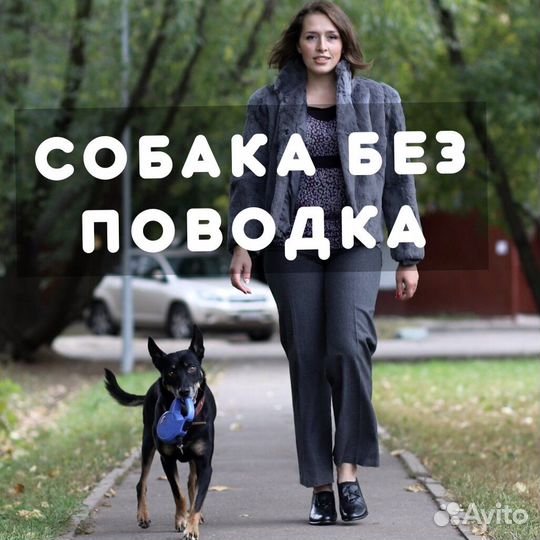 Воспитание собак, кинолог, дрессировка