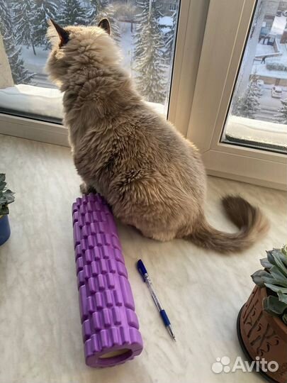 Новый рол миофасциальный