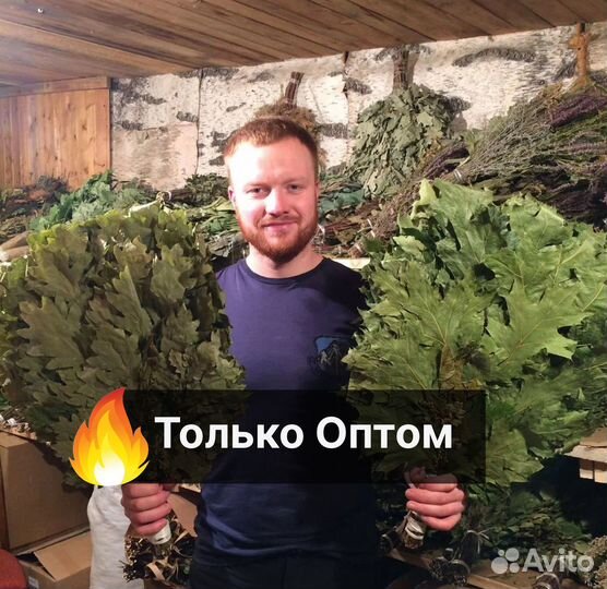 Веники для бани. Эвкалипт Только оптом от 100шт