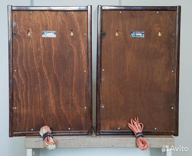 Акустические колонки 10 мас-1М