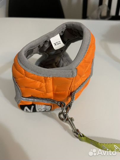 Шлейка для маленькой собаки