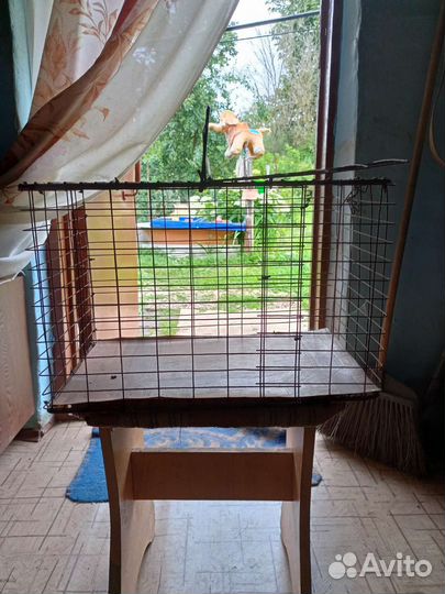 Клетки для кур или цыплят,большая для собаки