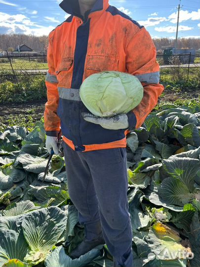 Фермерские продукты