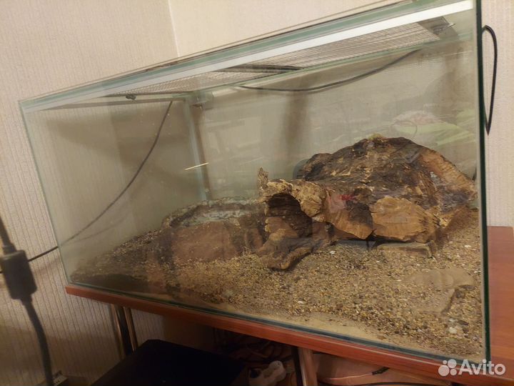 Террариум для рептилий
