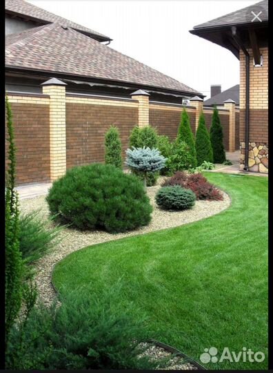 Рулонный газон с укладкой и без