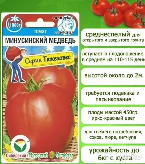 Рассада помидоров томатов