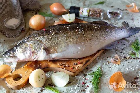 Продам рыбу судак