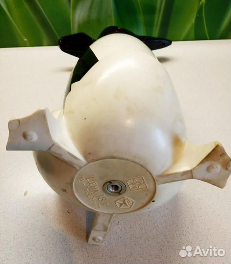 Сифон пингвин,СССР