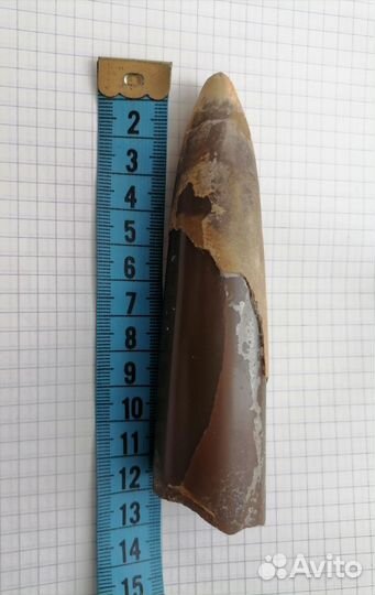 Белемнит большой, Чёртов палец