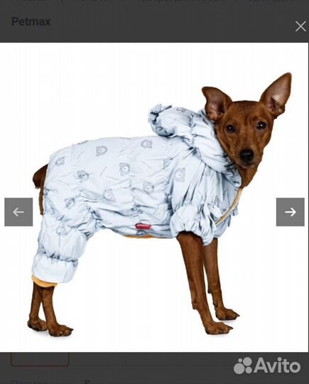Комбинезон для маленькой собаки
