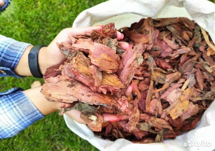 Кора лиственницы