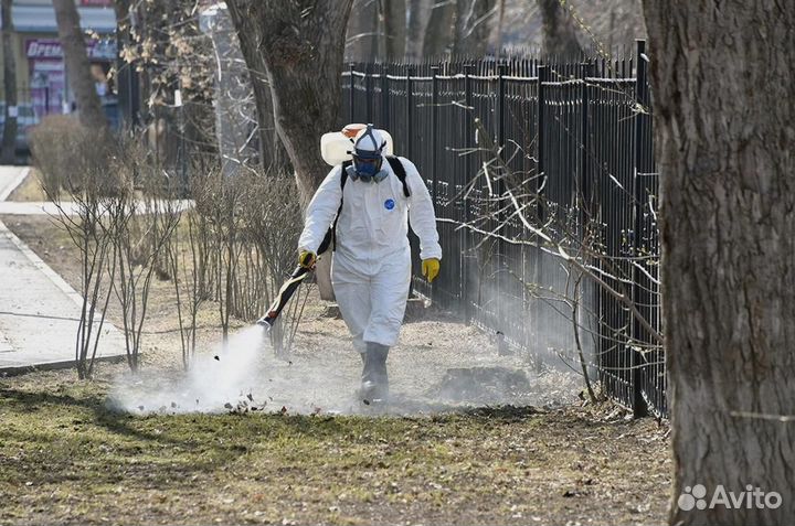 Уничтожение клопов тараканов грызунов блох плесени