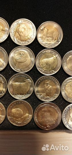 Монеты Турция красная книга