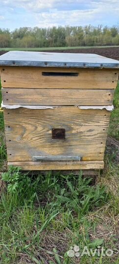 Ульи для пчел