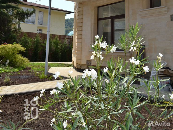 Тротуарная плитка, брусчатка, бордюры под ключ