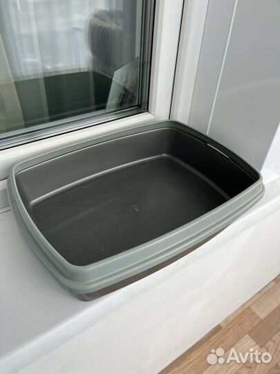 Лоток для котят подростков(от 4 месяцев )