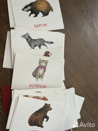 Учебные пособия для детей