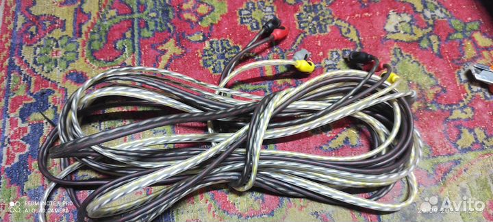 Тюльпаны провода рца