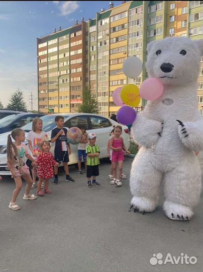 Белый мишка, поздравление