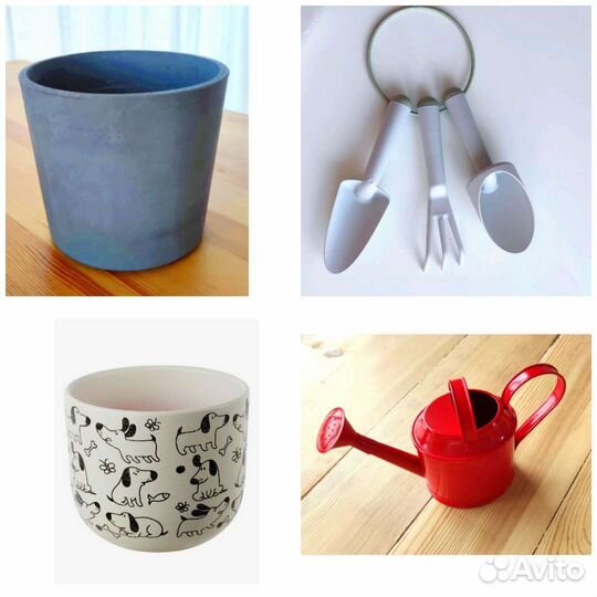 Grasmaro, кашпо Boysenbar, Рундминта, Витлок