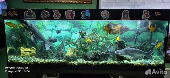 Украшение для аквариума