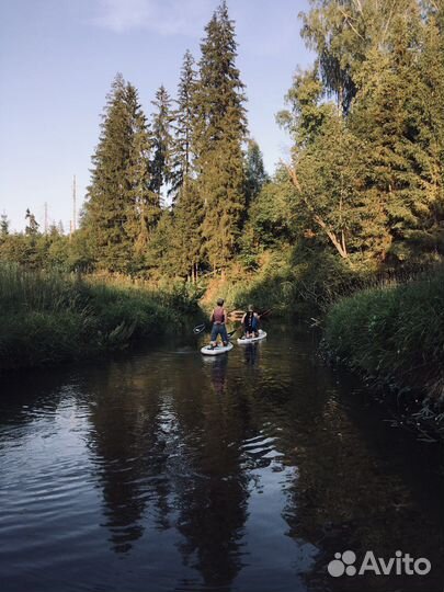 Аренда Sup сап F2 10.5 (Германия)