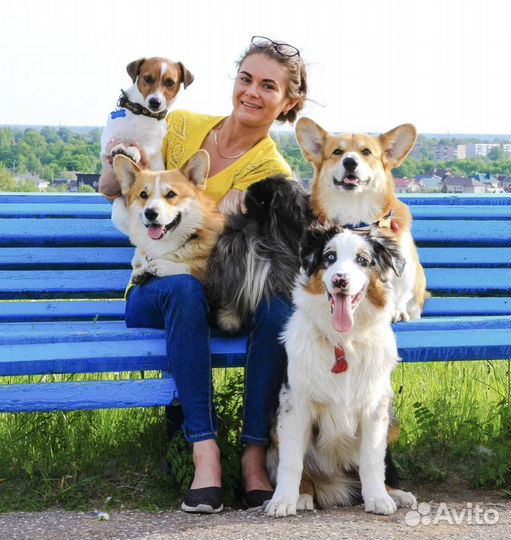 Передержка, выгул собак, кинолог