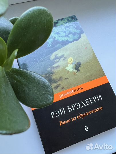 Рэй Брэдбери Вино из одуванчиков