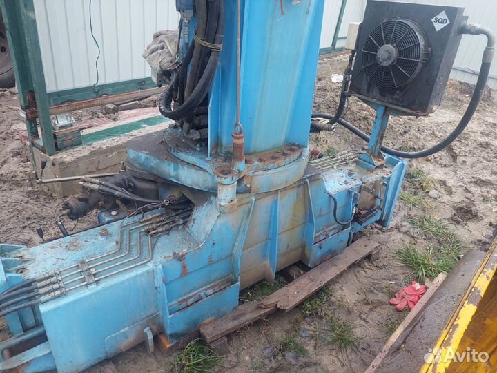 Кму донгянг 2037