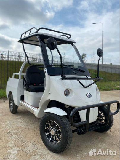 Гольфкар GreenCamel A2P (2+Plate 1800W R10 alum)