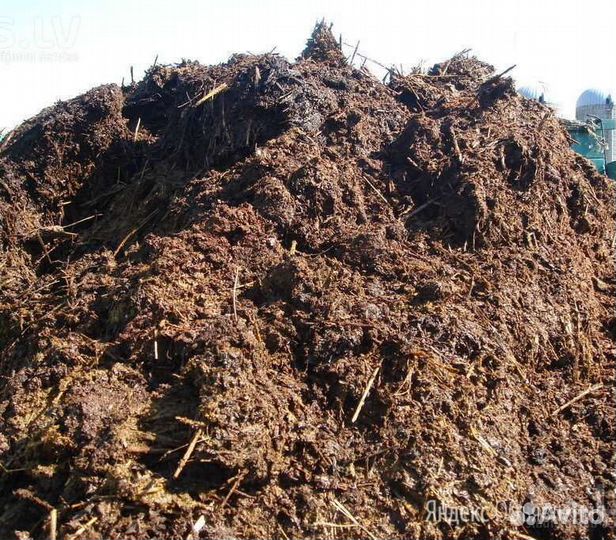 Перегной, навоз