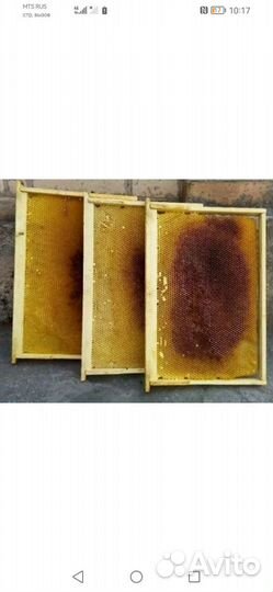 Рамки с сушью