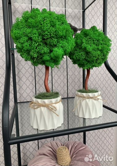 Дерево из стабилизированного мха