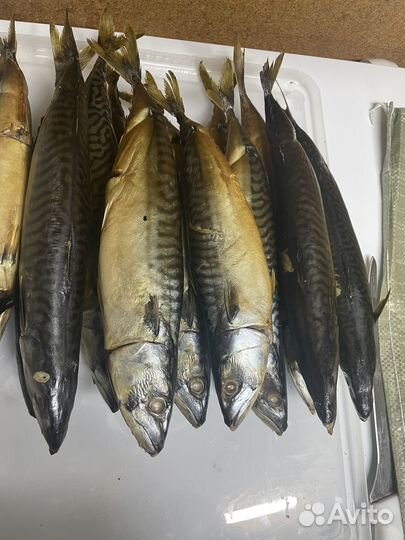 Копченая рыба