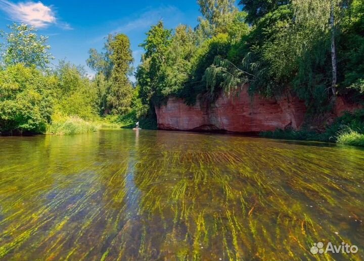 Сапборд аренда