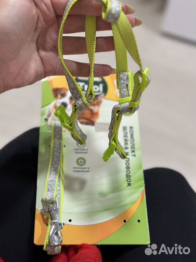 Шлейка для маленькой собаки и поводок