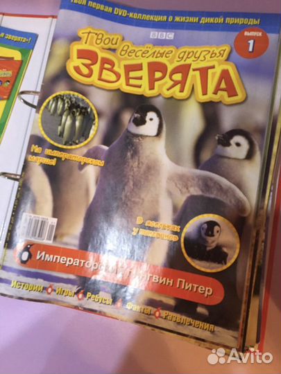 Коллекция дисков «Твои веселые друзья зверята»