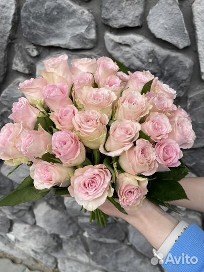 Розы 101 роза 51 роза 29 роз Цветы букет Доставка