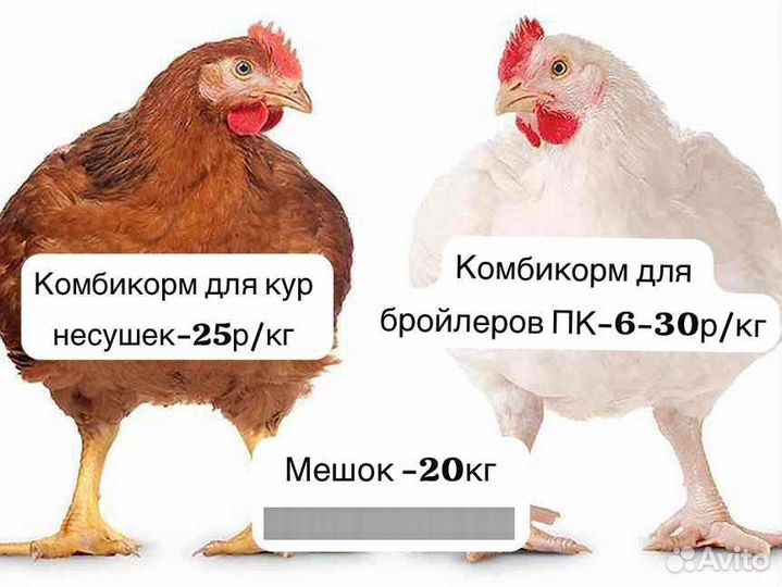 Комбикорм для кур несушек
