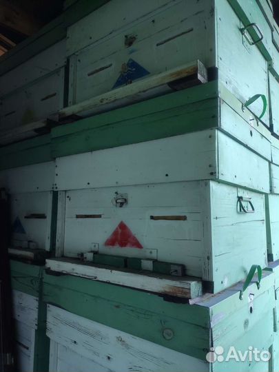 Улей для пчел бу 16 рам+2 магазина(сушь на 150)