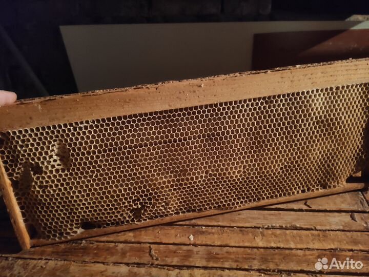 Рамки, сушь, вощина, подушки, холстики