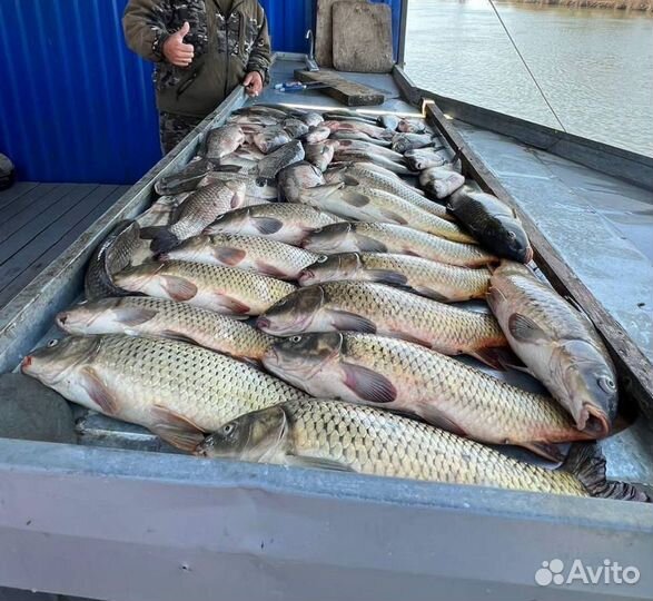 Базы отдыха рыбалка, палаточный городок, кемпинг