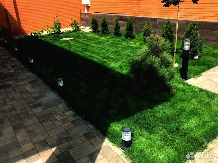 Рулонный газон 