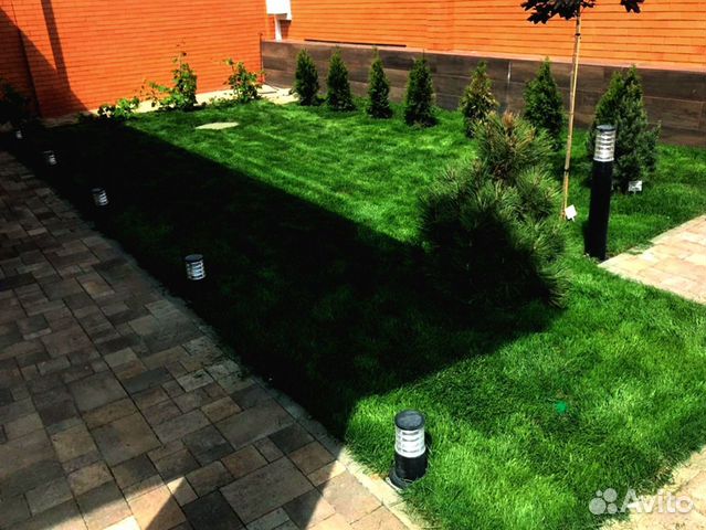 Рулонный газон 
