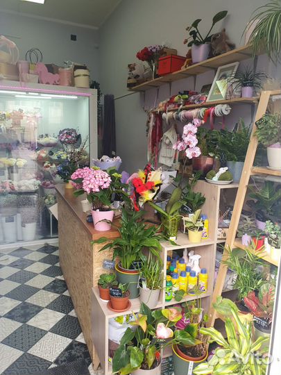 Цветочный магазин готовый бизнес